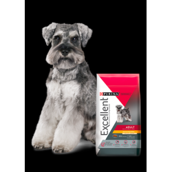 EXCELLENT ADULTO POLLO Y...