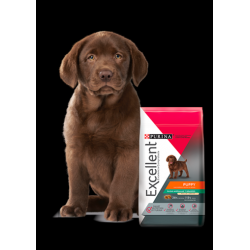 EXCELLENT PUPPY POLLO Y...