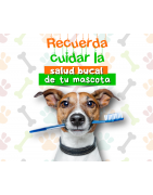 Quienes Somos